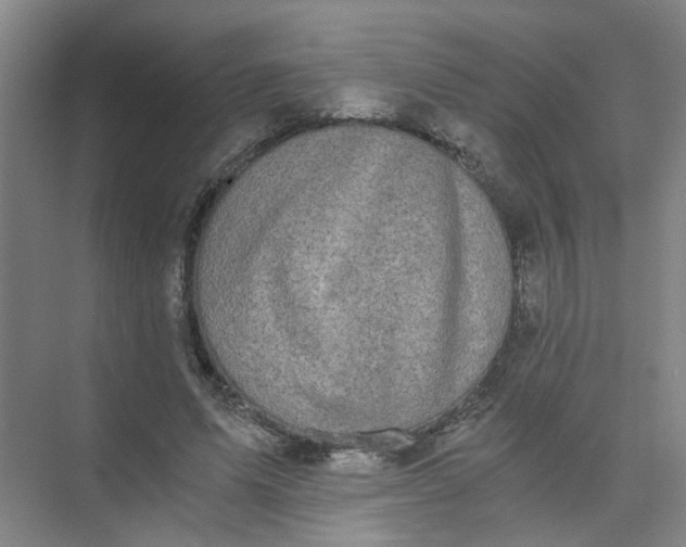 X0000073980591200609051913