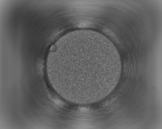 X0000073980592200609051913