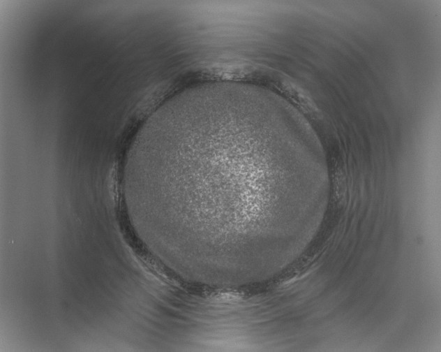 X0000073980594200609051913