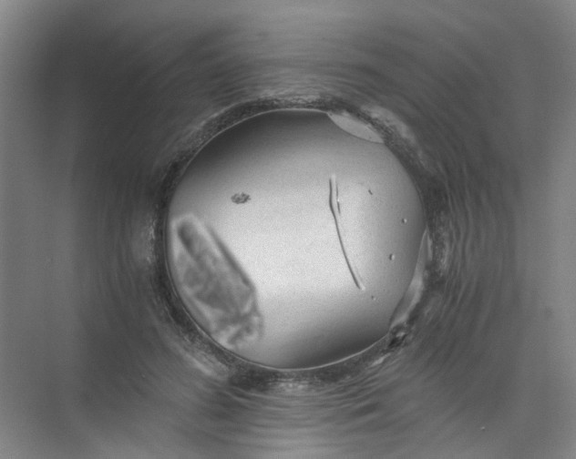 X0000073980596200609051913