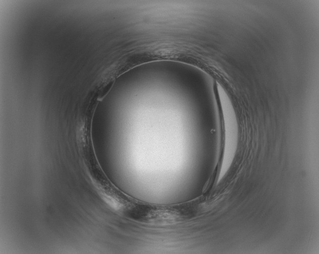 X0000073980597200609051913