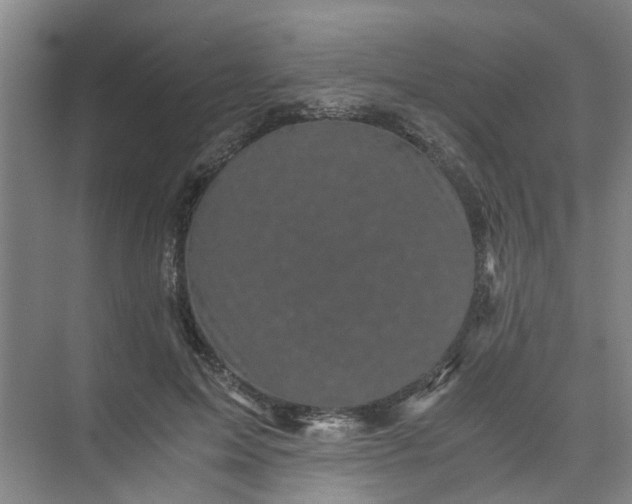 X0000073980599200609051913