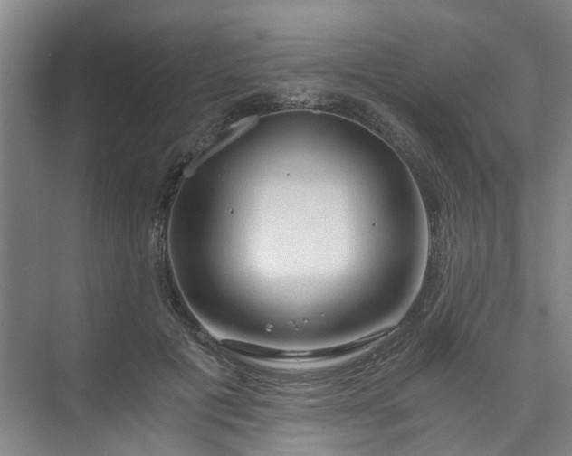 X0000073980601200609051913