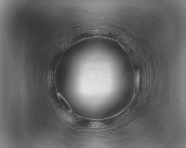 X0000073980605200609051913