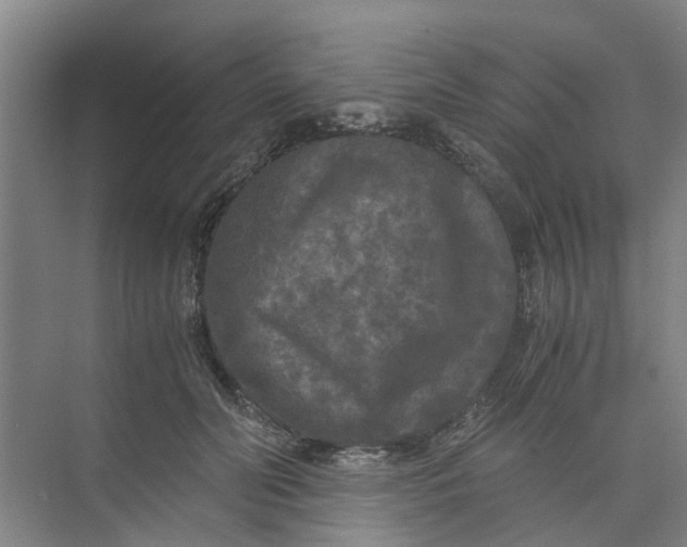 X0000073980606200609051913