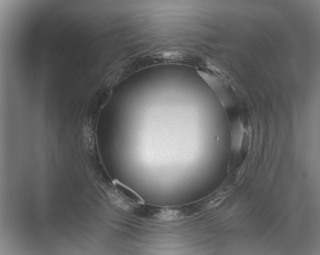 X0000073980609200609051913