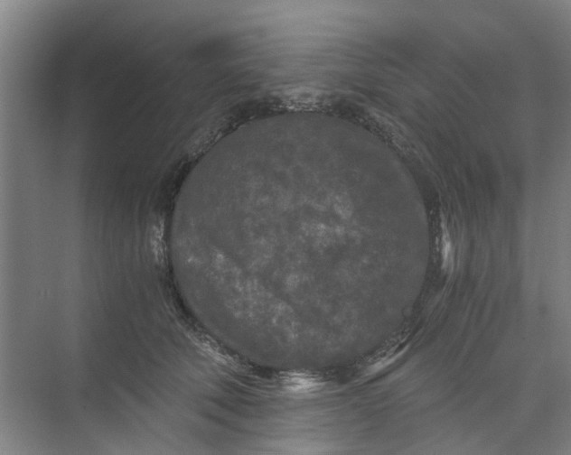 X0000073980610200609051913