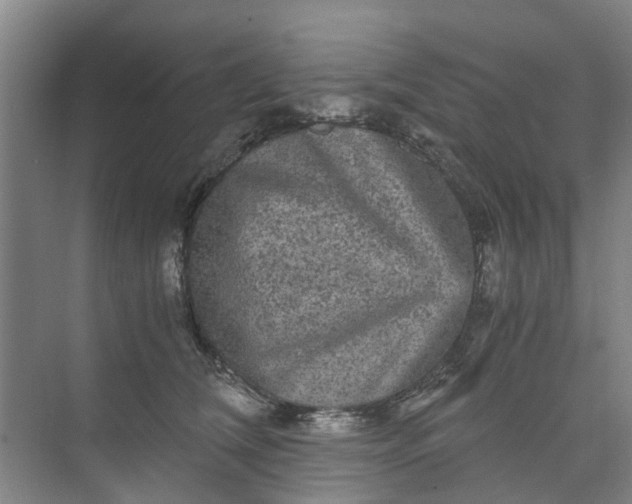 X0000073980612200609051913