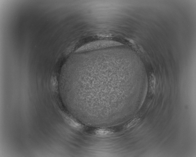 X0000073980614200609051913