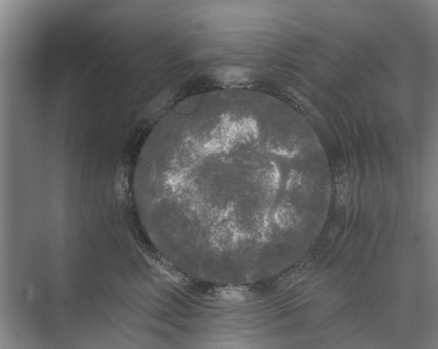 X0000073980618200609051913