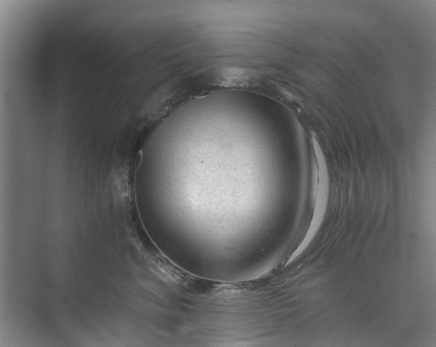 X0000073980620200609051913