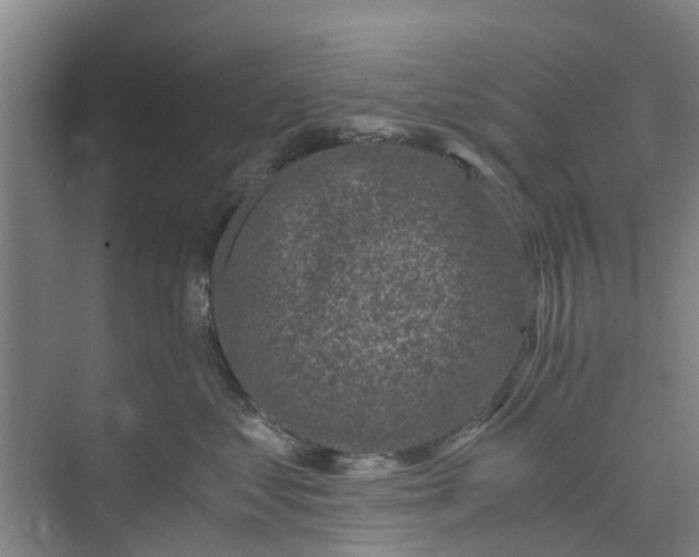 X0000073980621200609051913