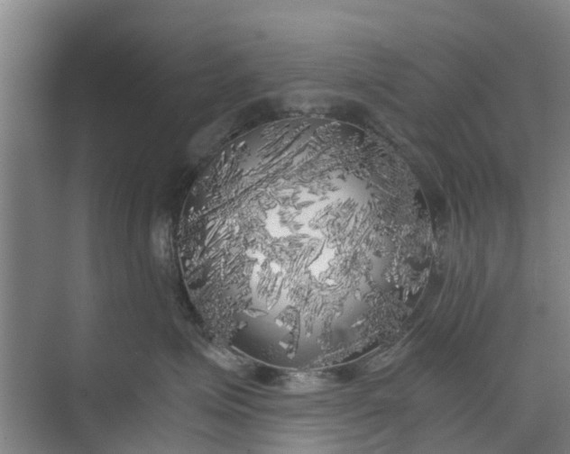 X0000073980623200609051913