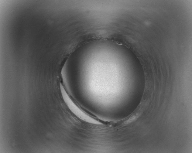 X0000073980624200609051912