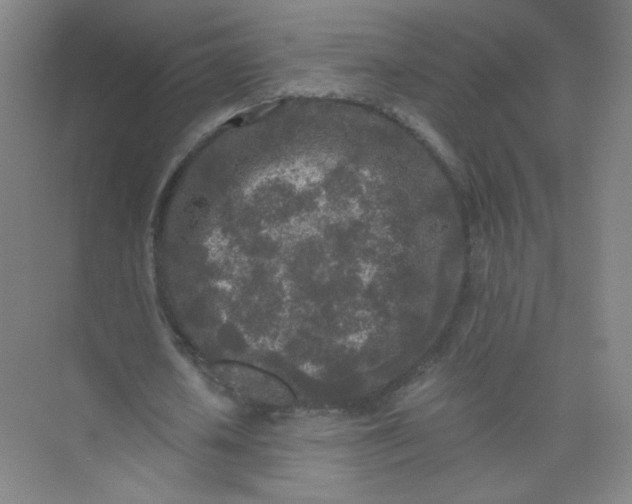 X0000073980626200609051912