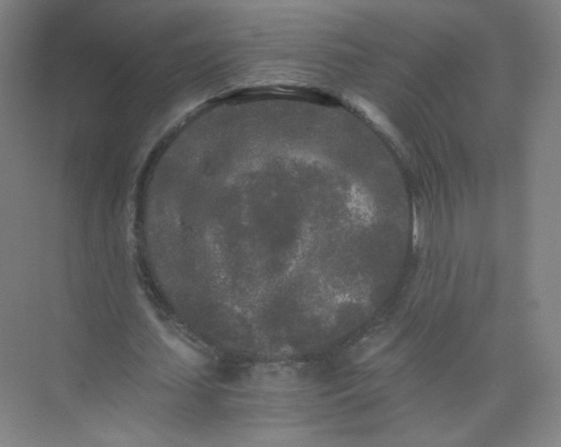 X0000073980627200609051912