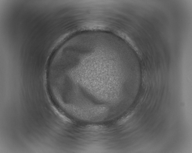 X0000073980629200609051912