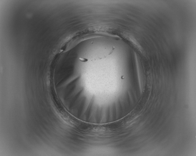 X0000073980631200609051912