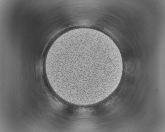 X0000073980632200609051912