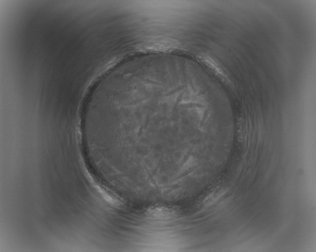 X0000073980634200609051912