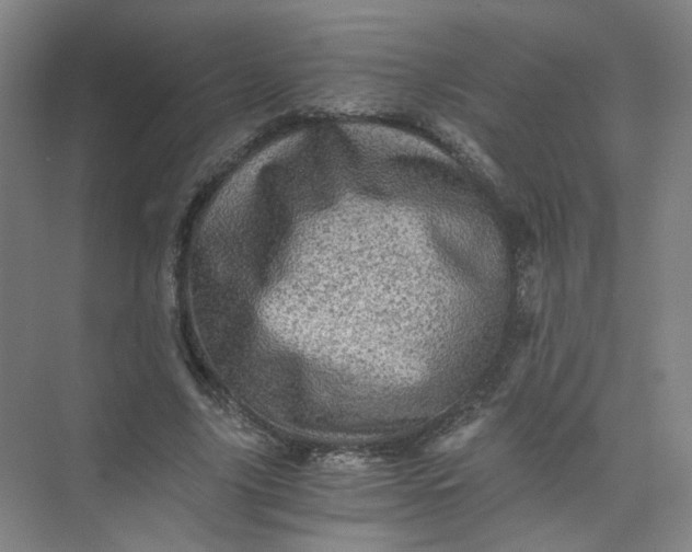 X0000073980635200609051912