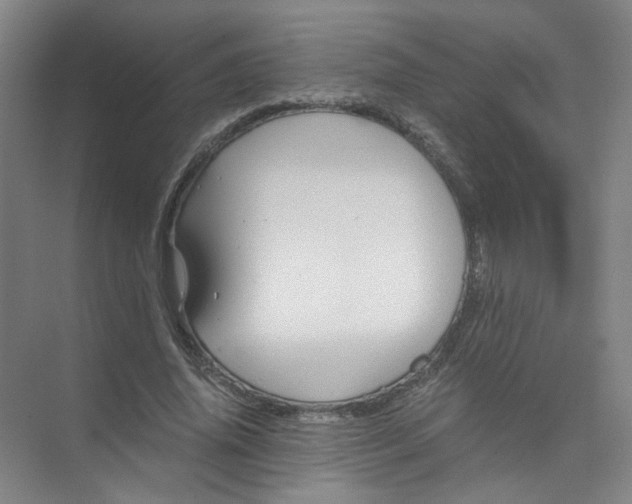 X0000073980636200609051912