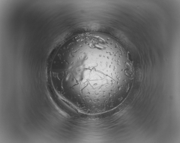 X0000073980638200609051912