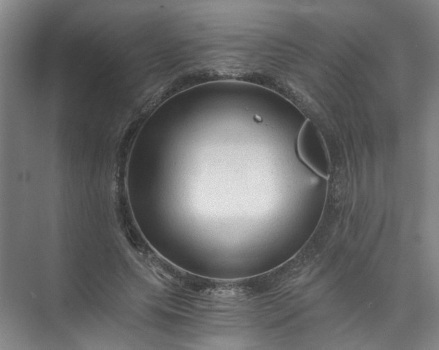 X0000073980639200609051912