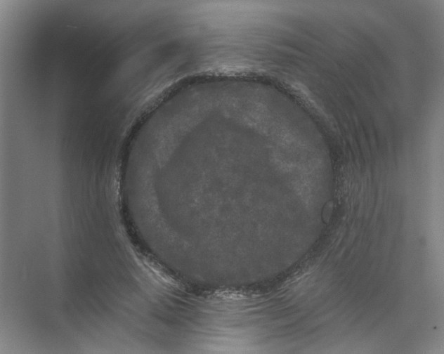 X0000073980640200609051912