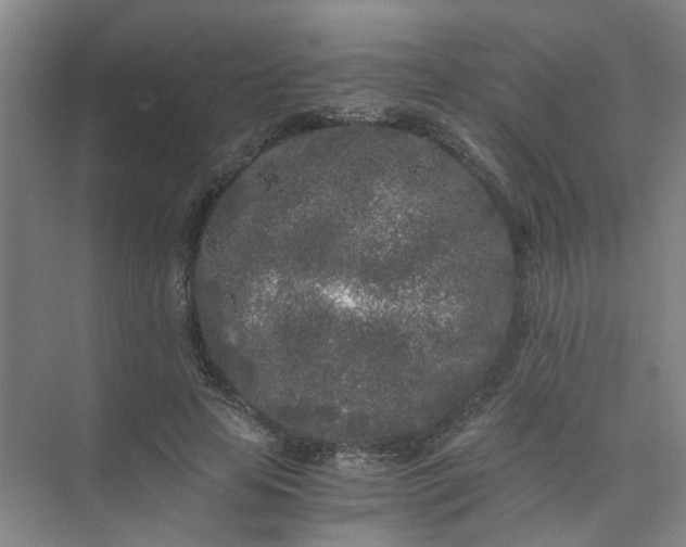 X0000073980641200609051912