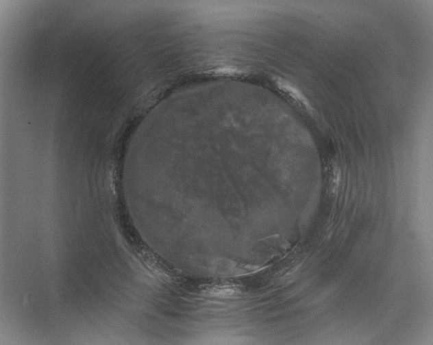 X0000073980643200609051912