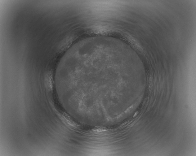 X0000073980644200609051912