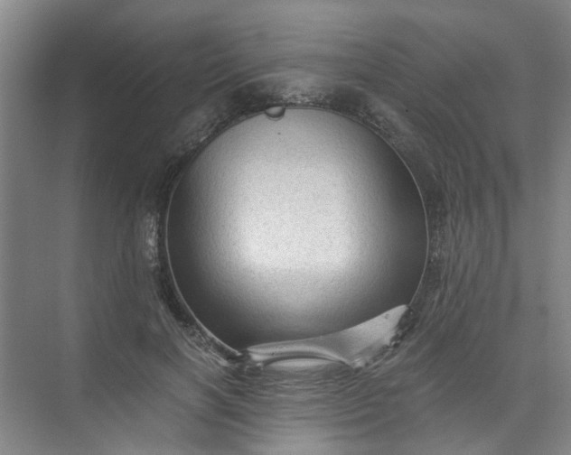 X0000073980646200609051912