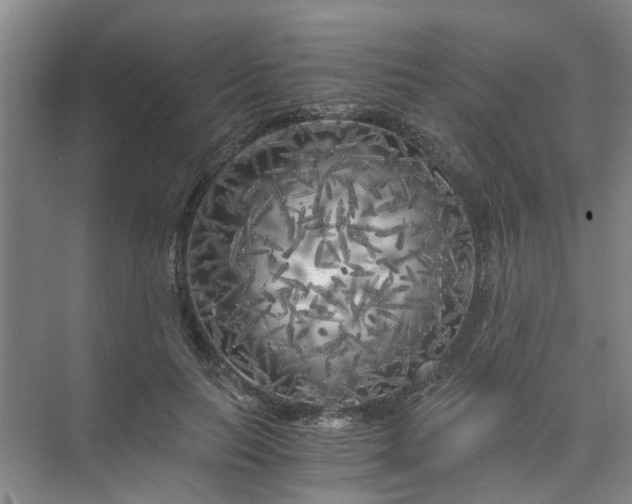 X0000073980647200609051912