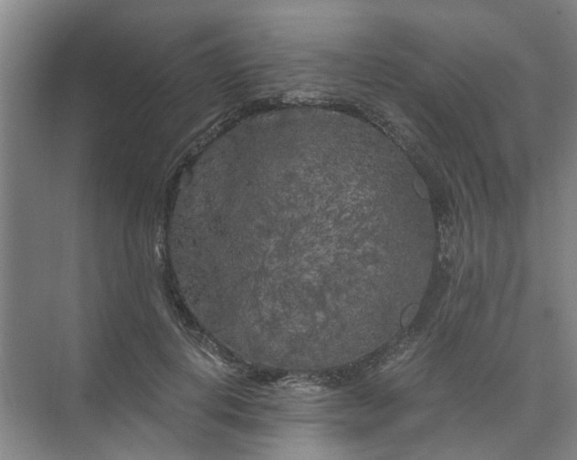 X0000073980648200609051912