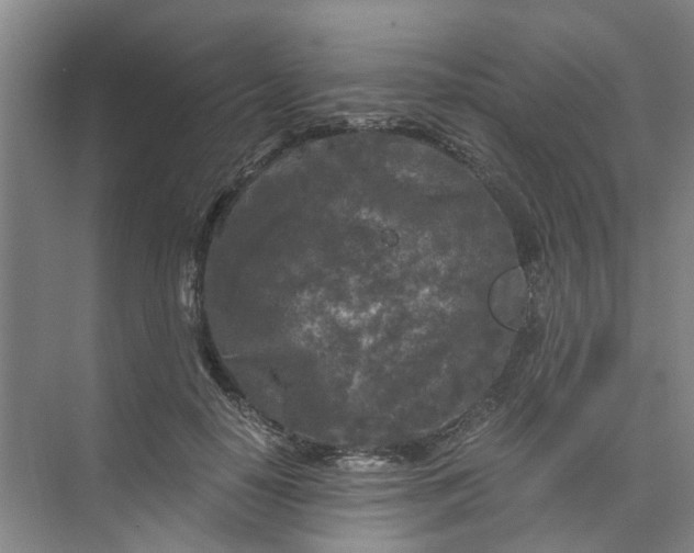 X0000073980650200609051912