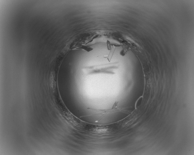 X0000073980651200609051912