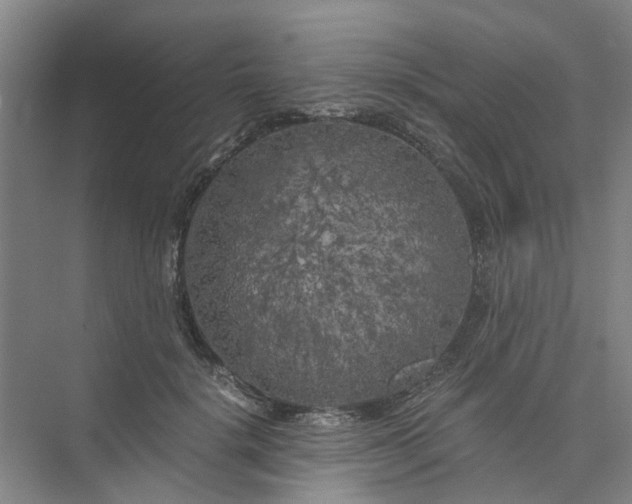 X0000073980652200609051912