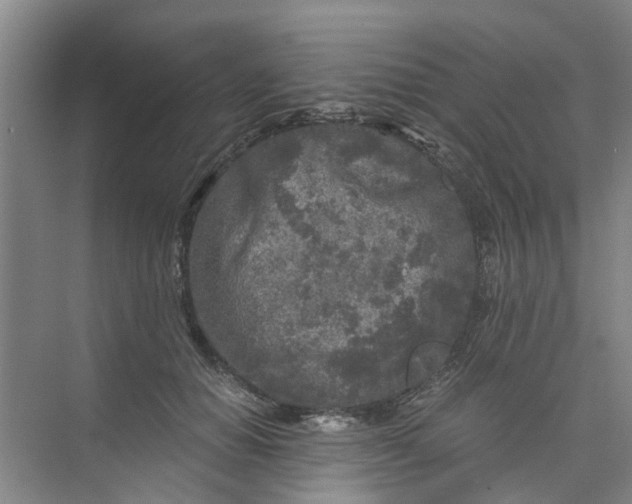 X0000073980654200609051912