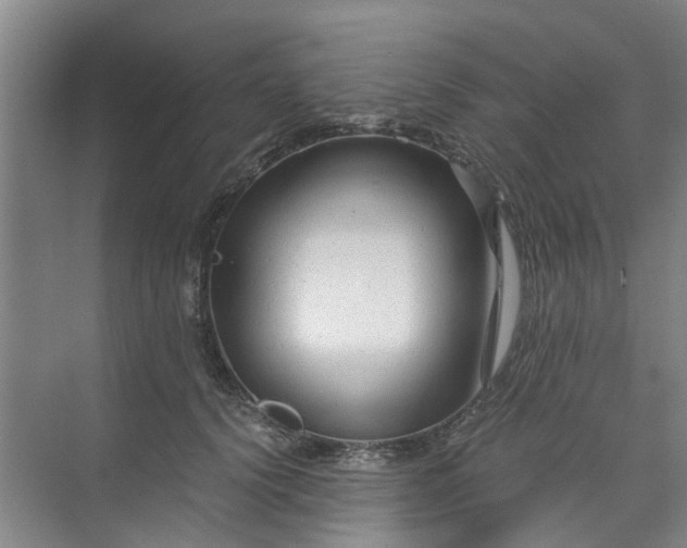 X0000073980656200609051912