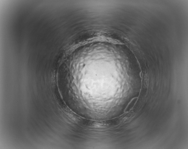 X0000073980657200609051912