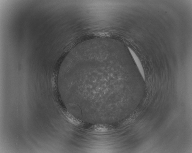 X0000073980658200609051912