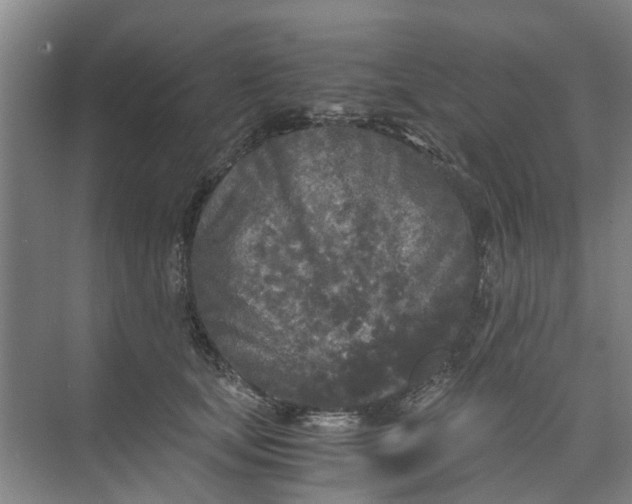 X0000073980659200609051912