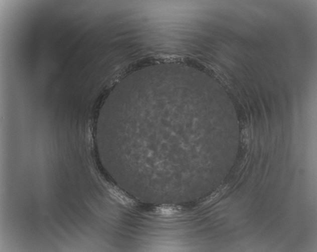 X0000073980662200609051912