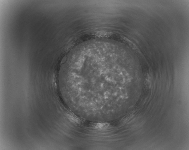 X0000073980663200609051912