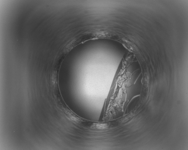 X0000073980665200609051912