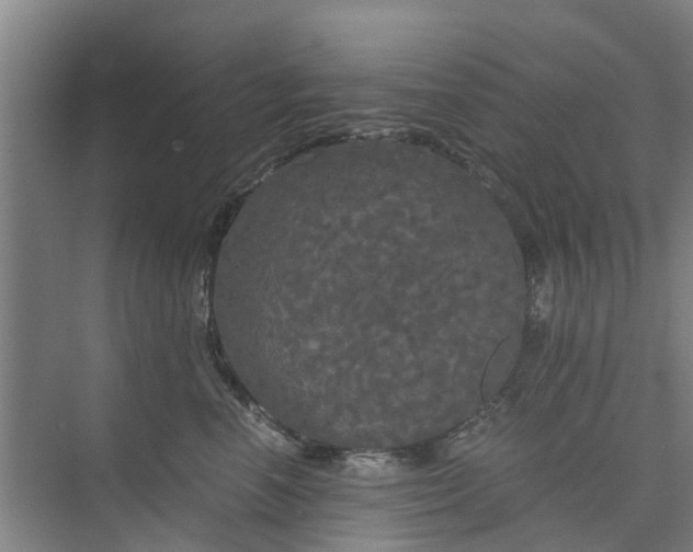 X0000073980666200609051912