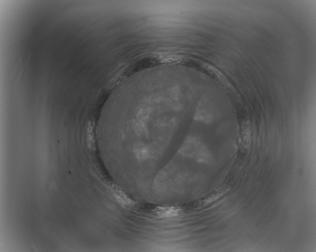 X0000073980667200609051912