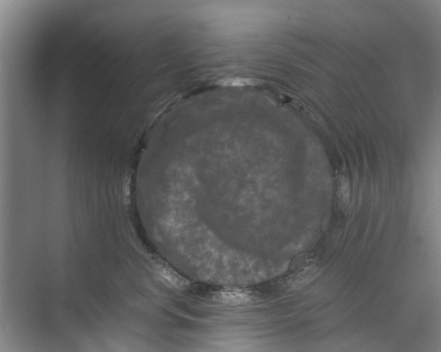 X0000073980668200609051912