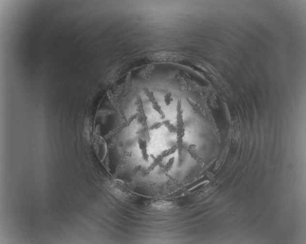 X0000073980669200609051912